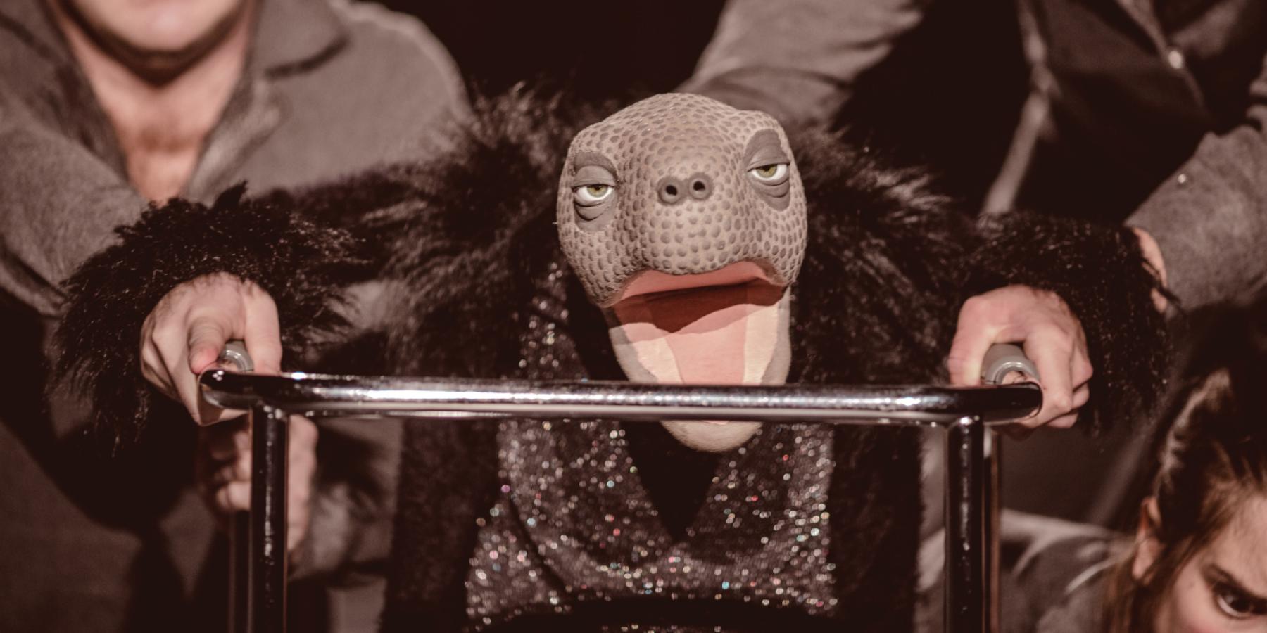 Titelbild (symbolisch)