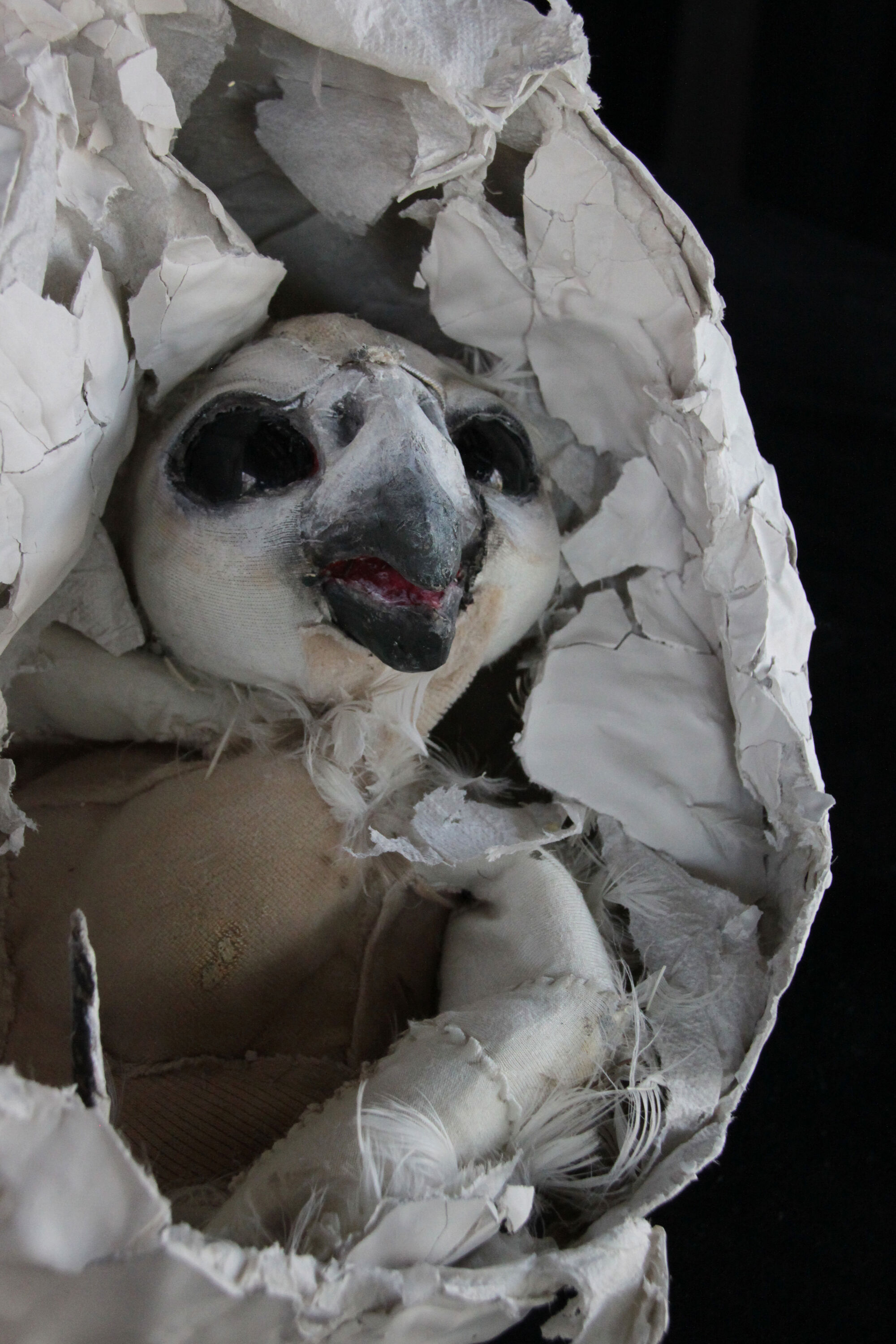 EiPresse3 Foto Irina Gollmer.jpg 