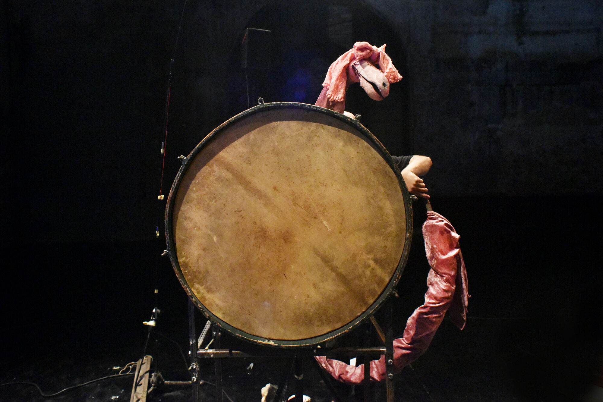 Foto: Thilo Neubacher 