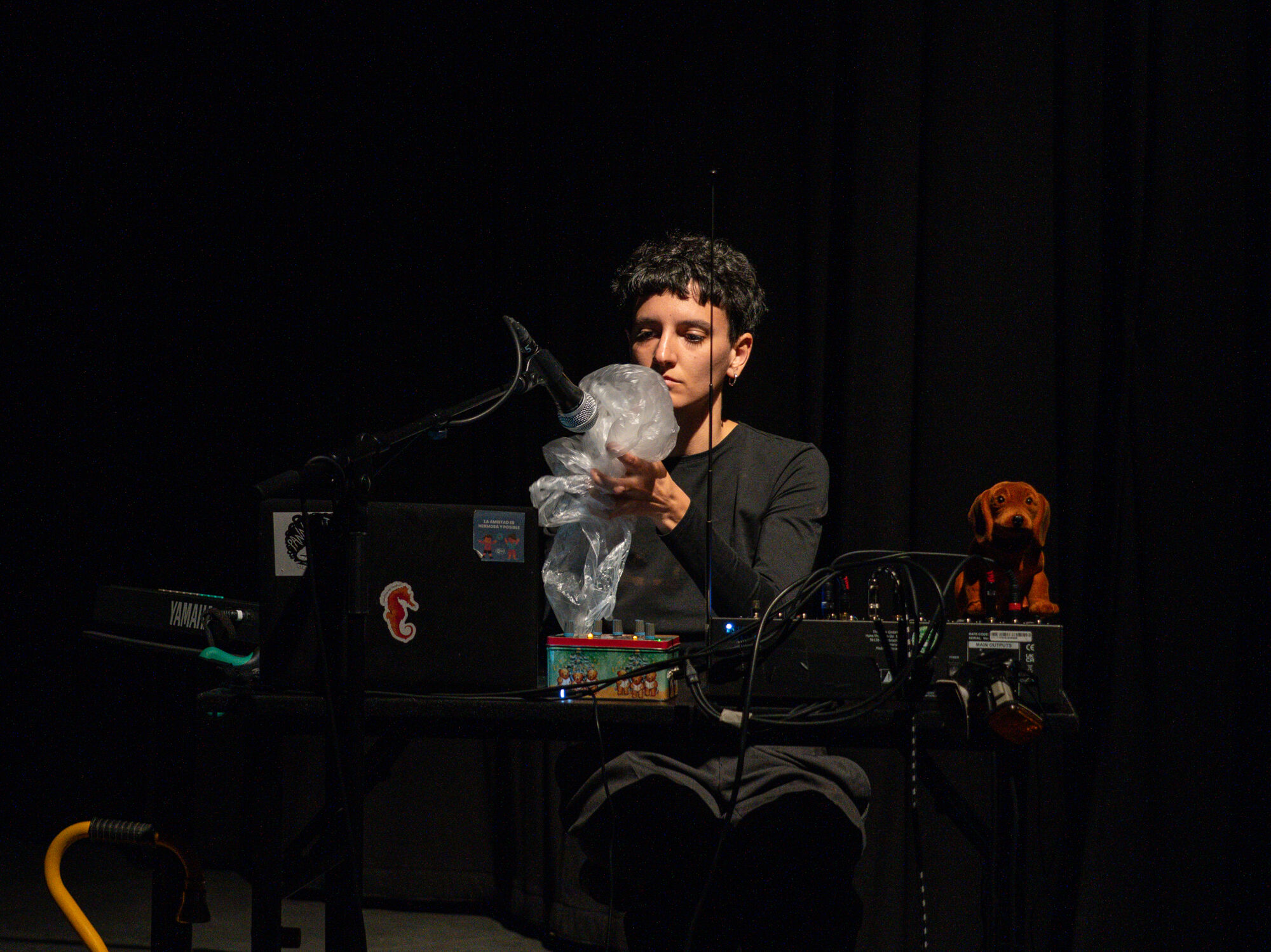 Anfang Ziege Ende, Foto: Lauryn Zoe Hinsch 